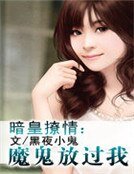 暗皇撩情:魔鬼放過我