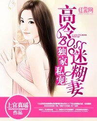 独家私宠:高冷BOSS迷糊妻