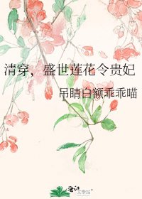 清穿,盛世莲花令贵妃